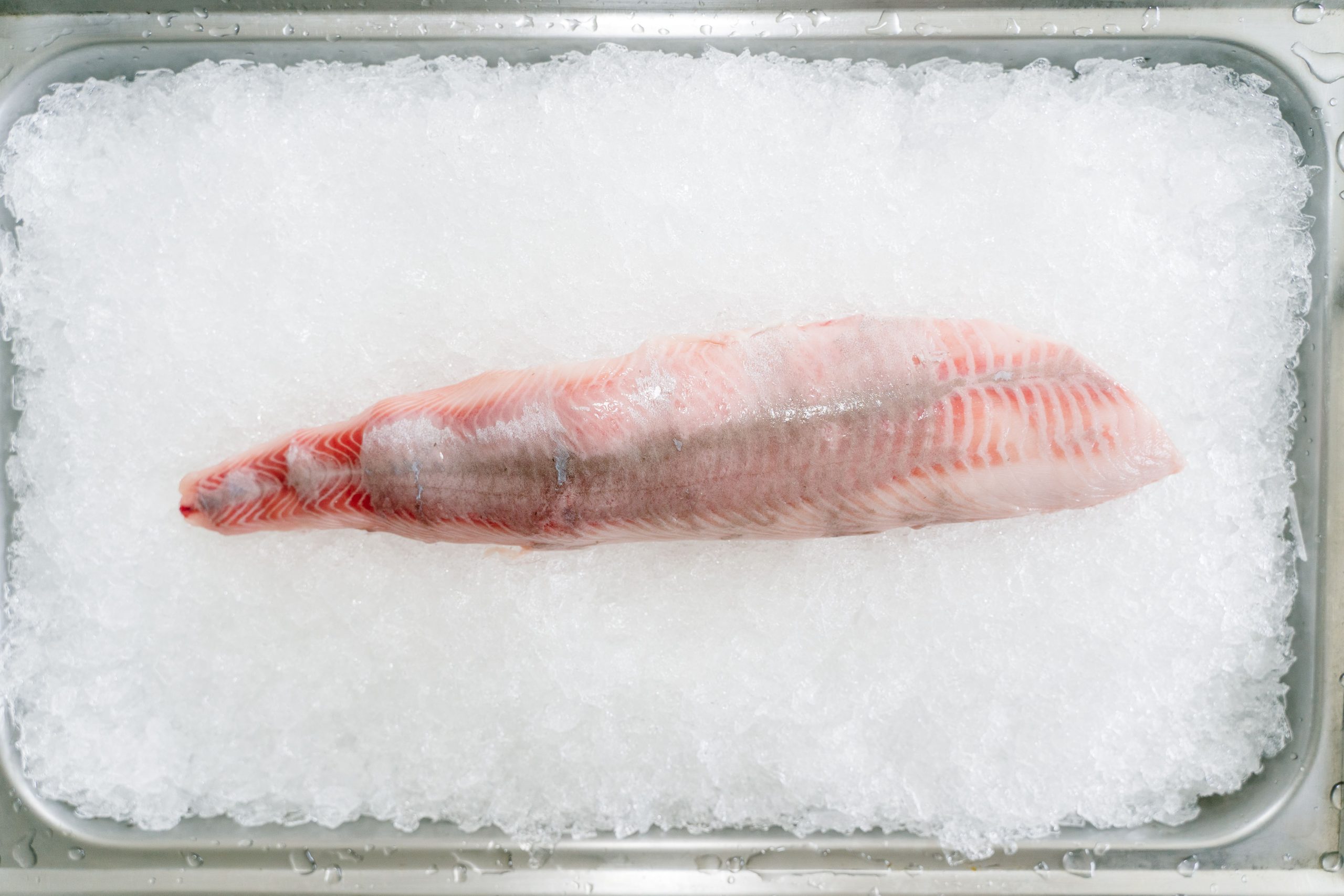 Fresh raw hake fillets resting on crushed ice
